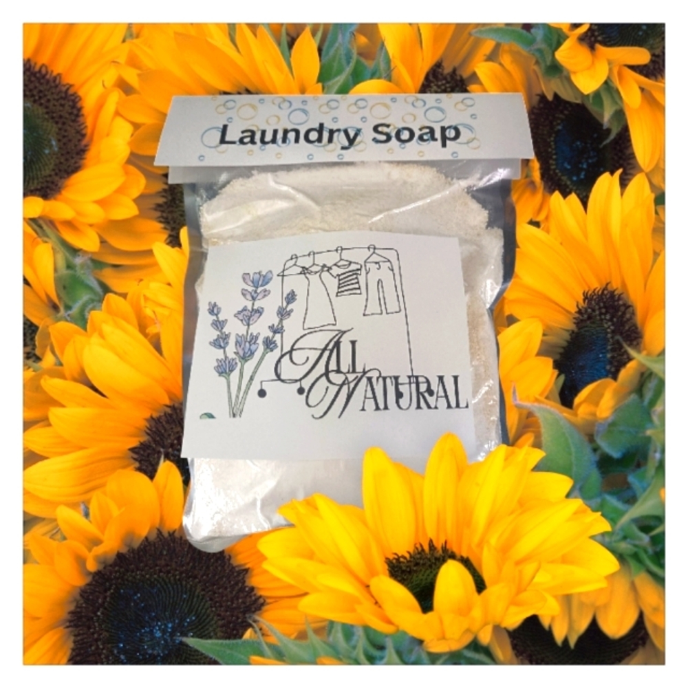4/$15 Laundry Soap - All Natural Handmade 164 Loads
